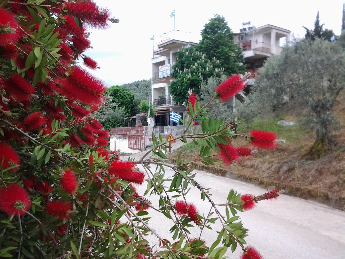 דירות Pteleós Theoxenia מראה חיצוני תמונה
